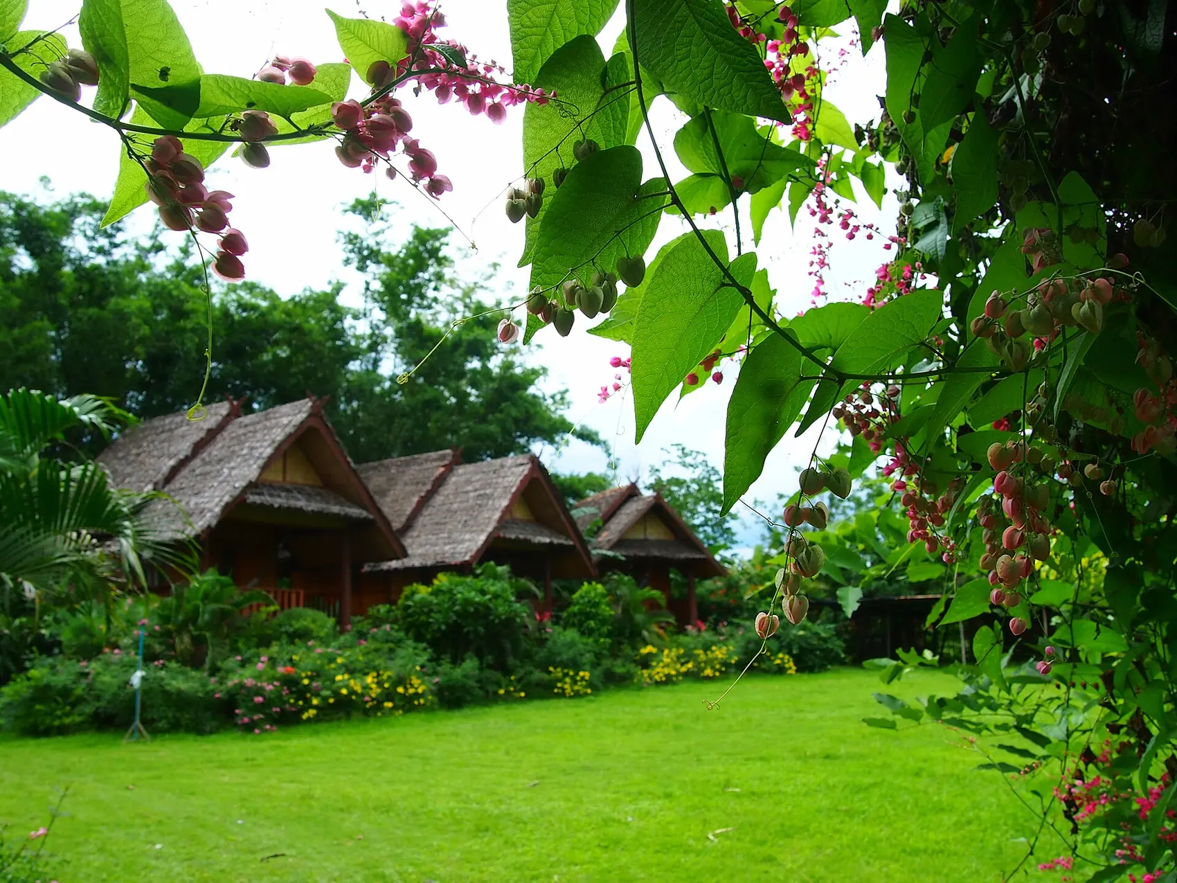 Bungalows au toit de feuilles dans un jardin fleuri, à Pai