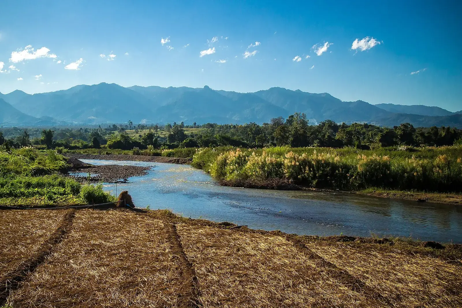 La rivière de Pai et les rizières, au nord de la ville